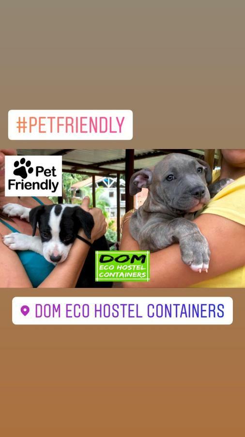 Dom Eco Hostel Containers Sao Sebastiao  Εξωτερικό φωτογραφία
